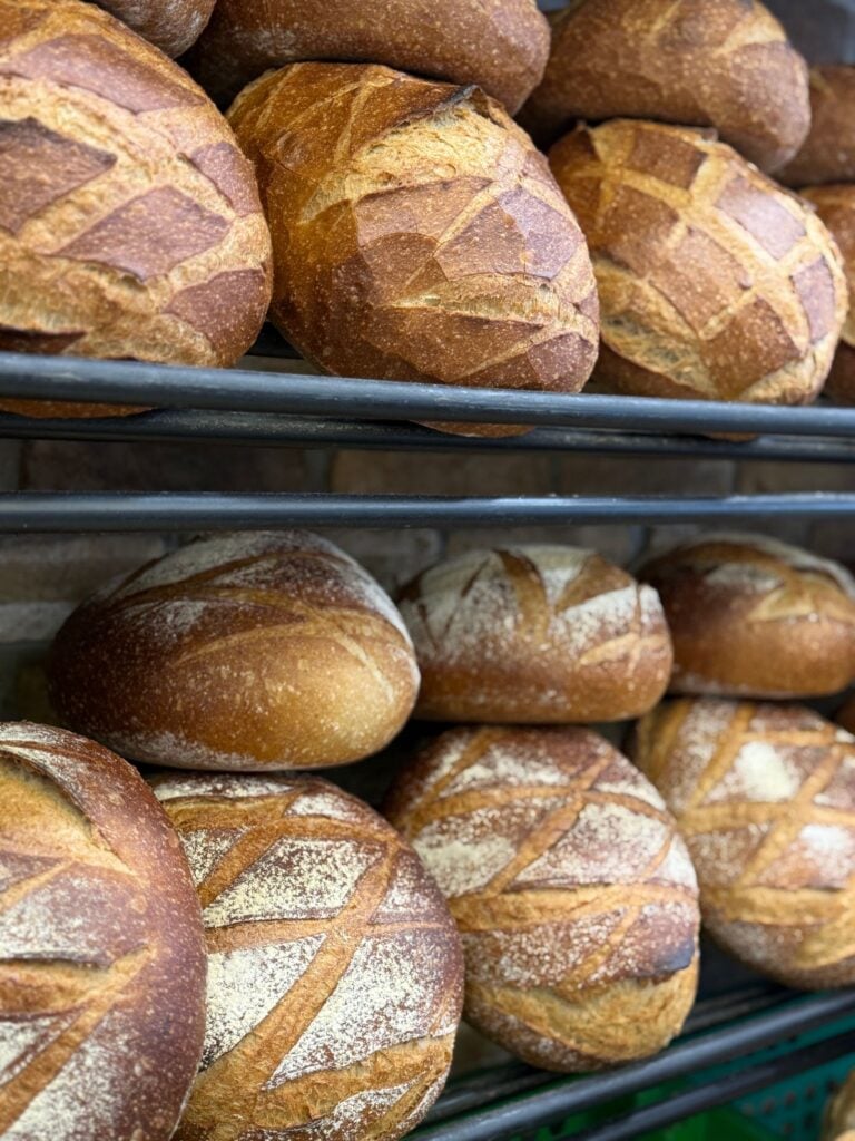 Sourdough loaves baking on oven racks