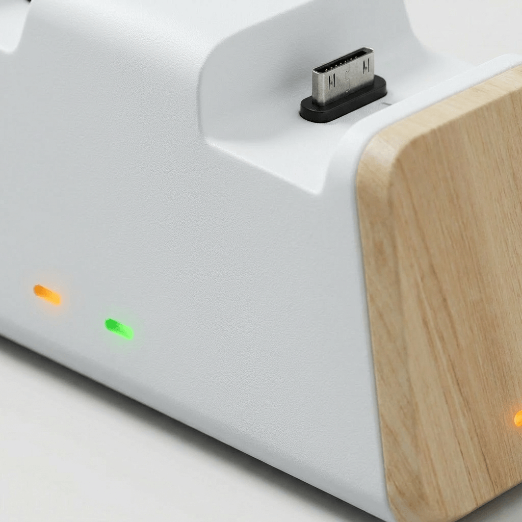 Dual Controller Charging Dock