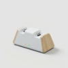 Dual Controller Charging Dock