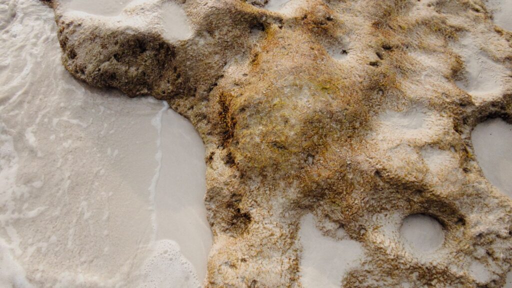 Detailed view of rocky salt formations