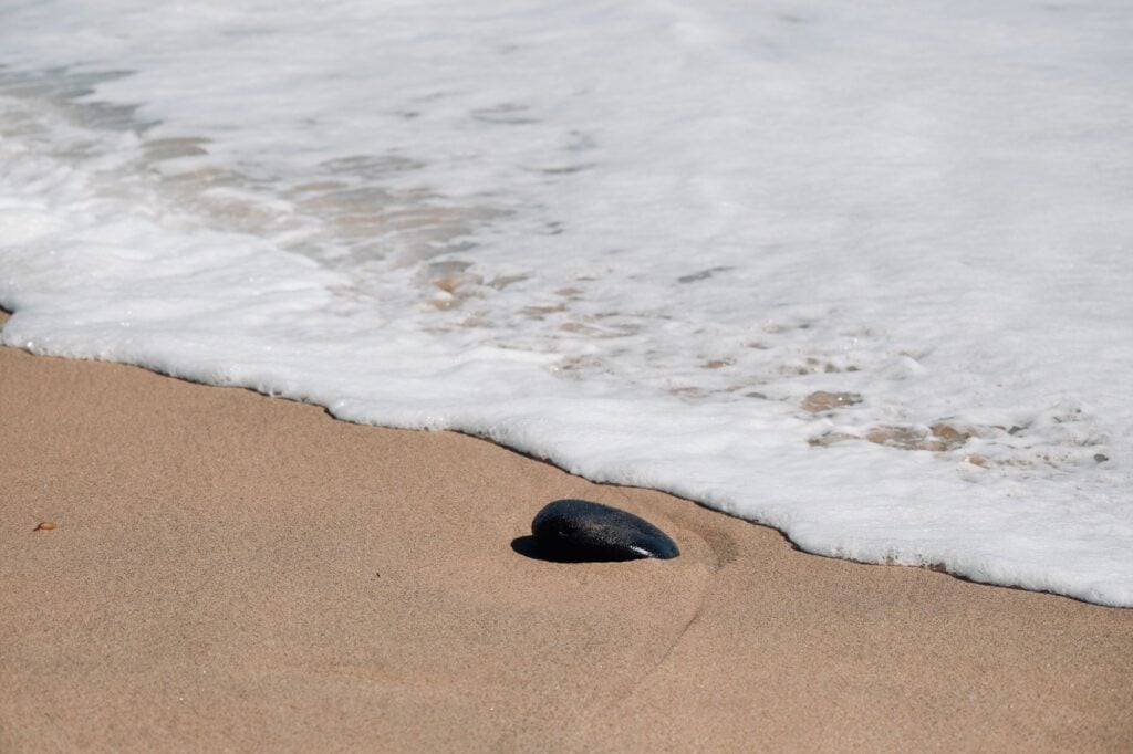 A dark stone on wet sand as a wave washes in