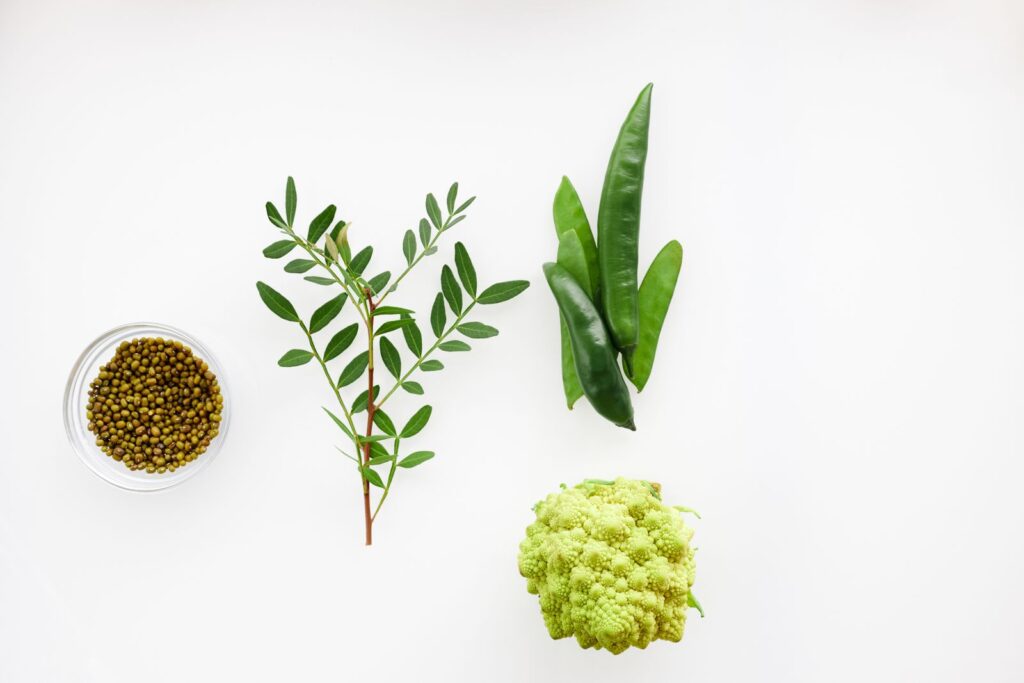Flat lay of seeds, green herbs and leaves on white