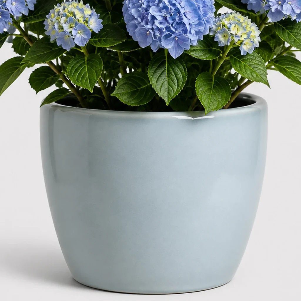 Blue Hydrangea Pot container detail