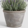 Lavender Patio Pot container detail
