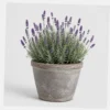 Lavender Patio Pot styled view
