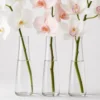 Orchid Stem Bouquet container detail