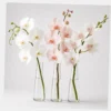 Orchid Stem Bouquet styled view