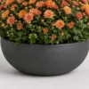 Patio Mum Bowl container detail