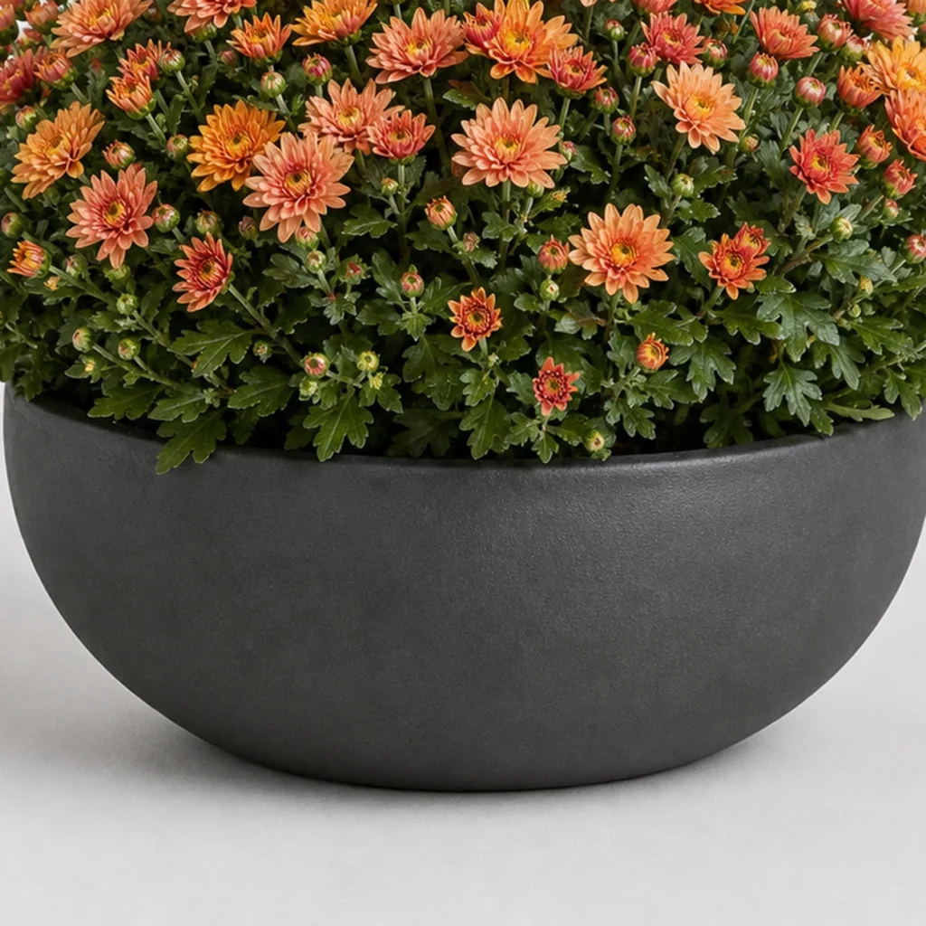 Patio Mum Bowl container detail