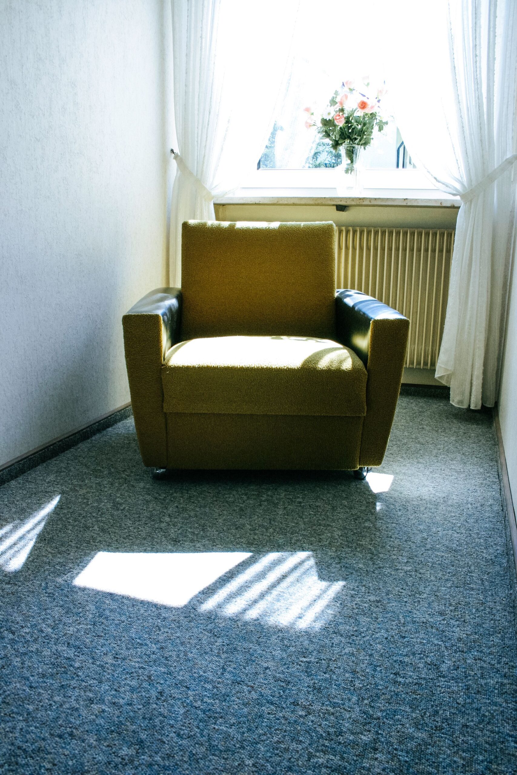 Olive green armchair in a sunlit corner