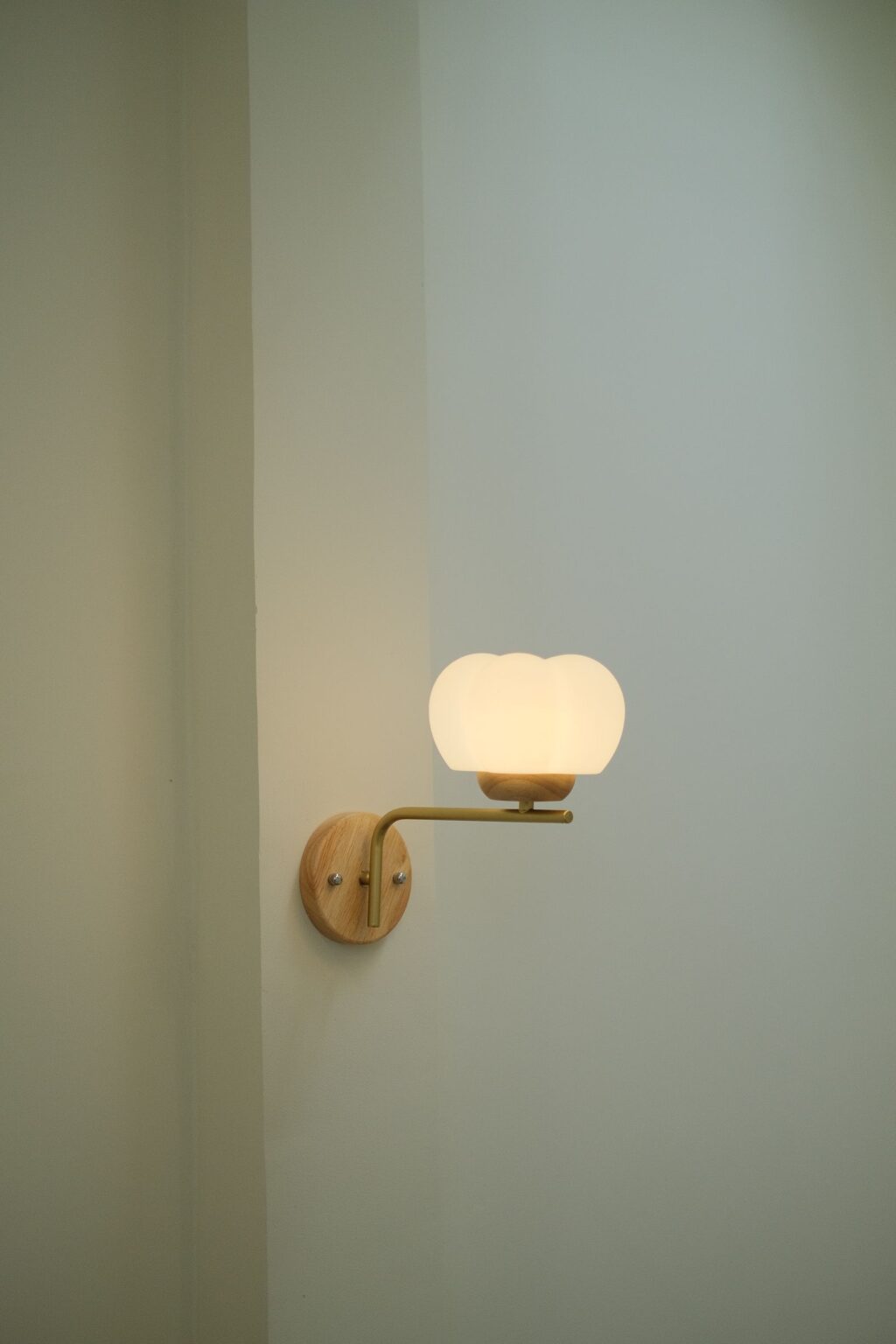 Globe wall sconce on a plain wall