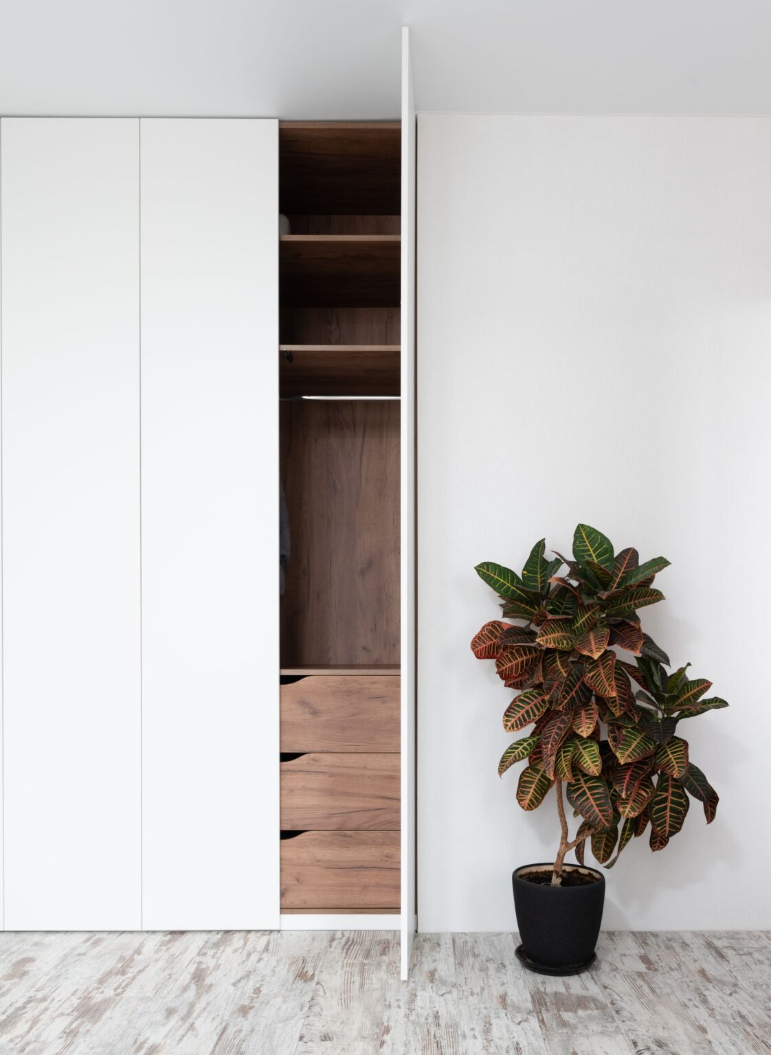 Two-door wardrobe with shelves and a plant