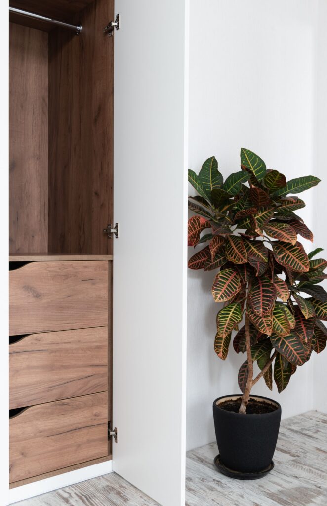 Wardrobe oak interior with open door